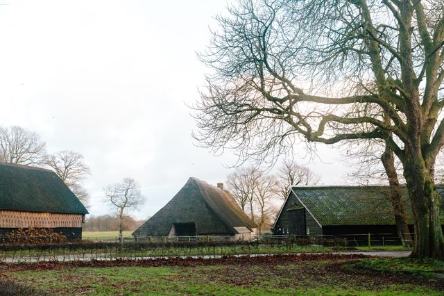 Authentieke boerderijen in een Drents dorp.