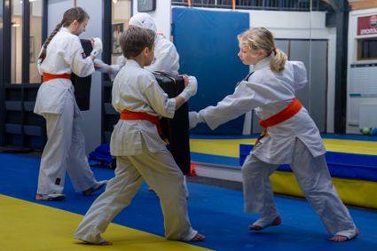 Shin Kyokushin Karate
