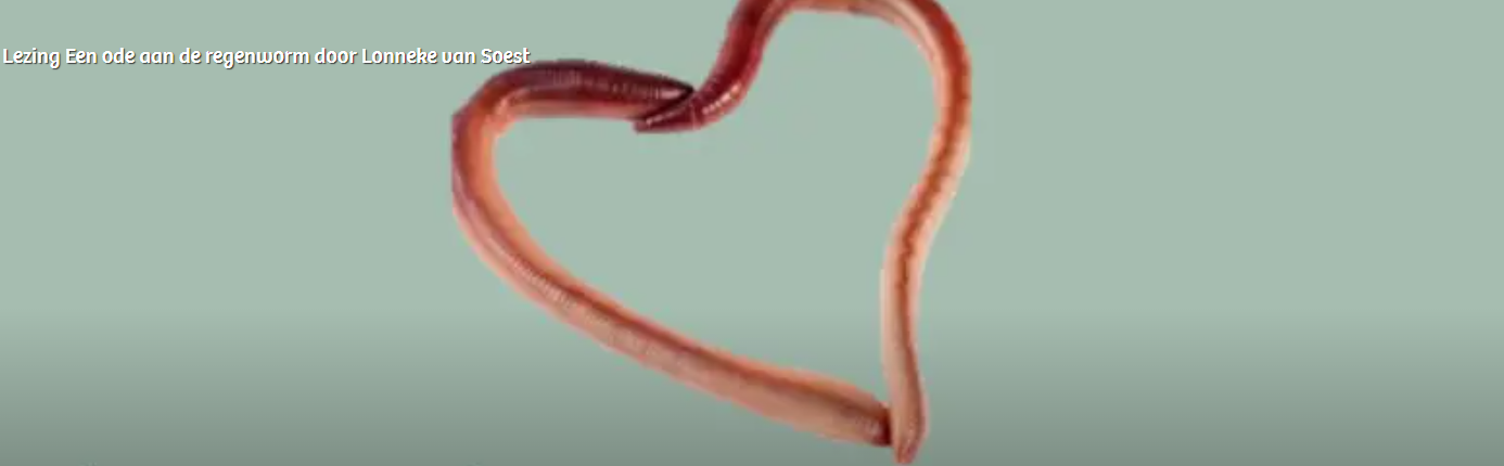 Twee regenwormen gevormd in een hartje als figuur