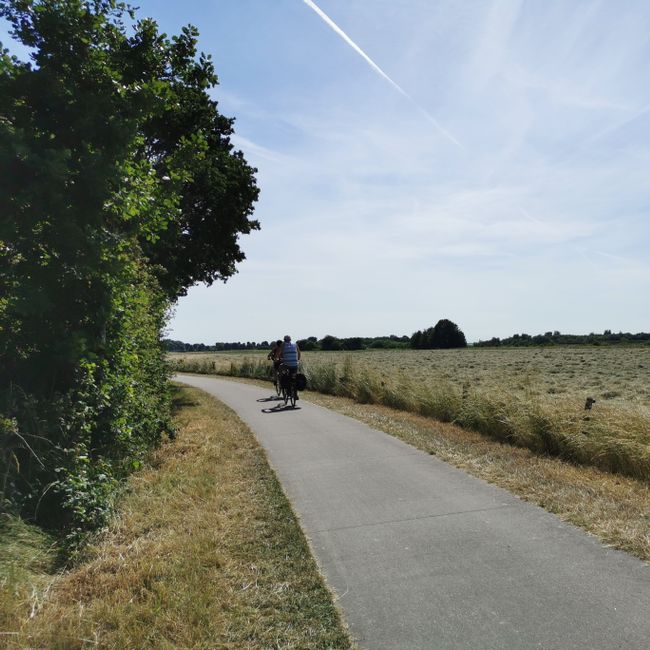 Fietsers in zomer