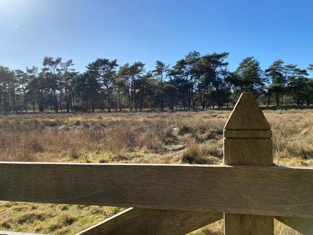 Een grote weide aan het begin van de route.