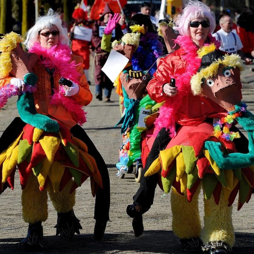 carnavallers in olliedonk tijdens de optocht
