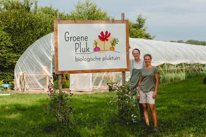 Groene Pluk - Spot 2026
