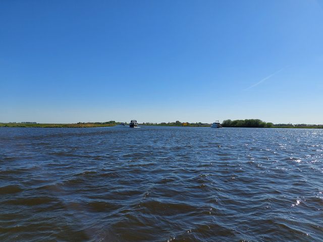 Poelen