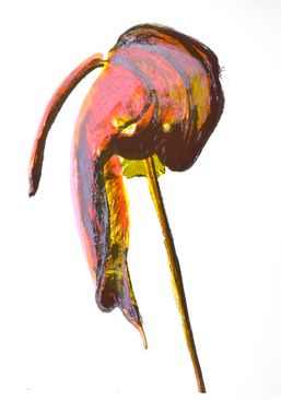 foto: Ina van Zyl, Delight, 2025, lithografie op papier