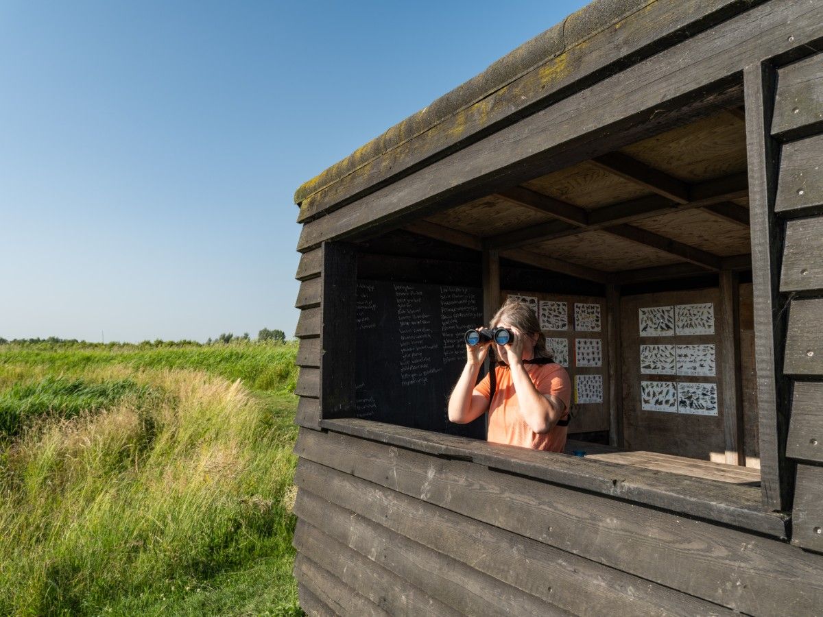 Ellen kijkt uit vanuit vogelhut
