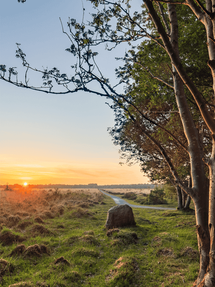Zonsondergang boven het Noordsche Veld