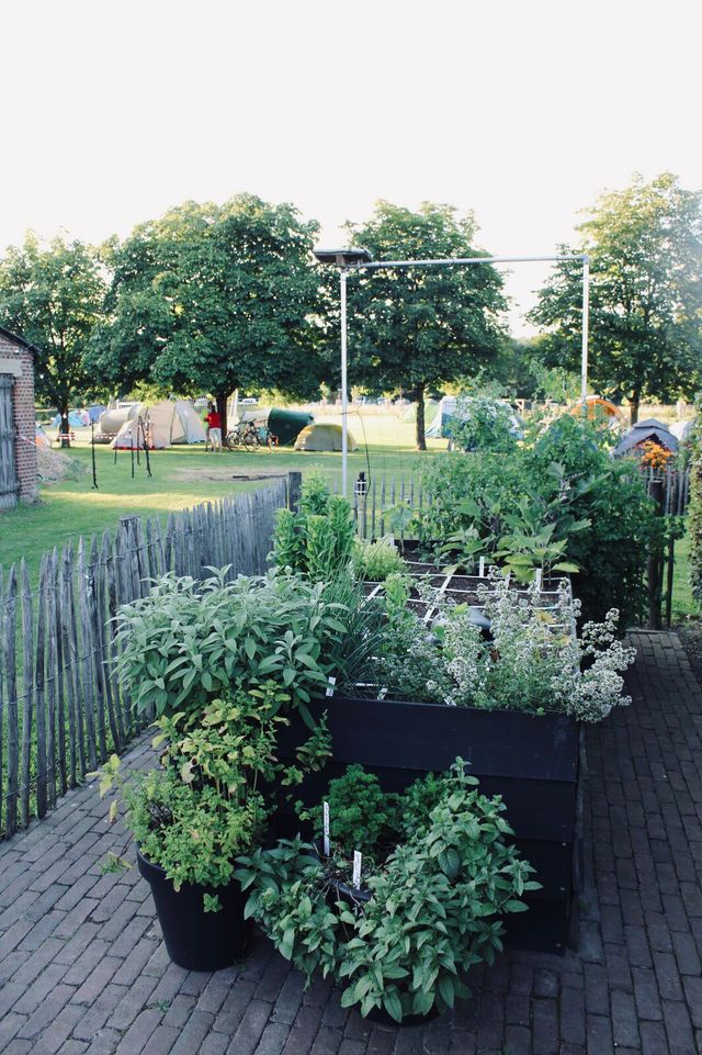 Moestuinbakken bij Slapen bij Herman