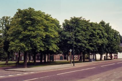 Slides by Ton Swinkels in Heemhuis