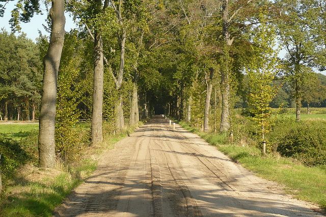 Rangerwandeling op de Bocholtsebaan