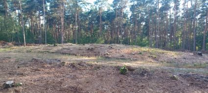 Hooge Mierde