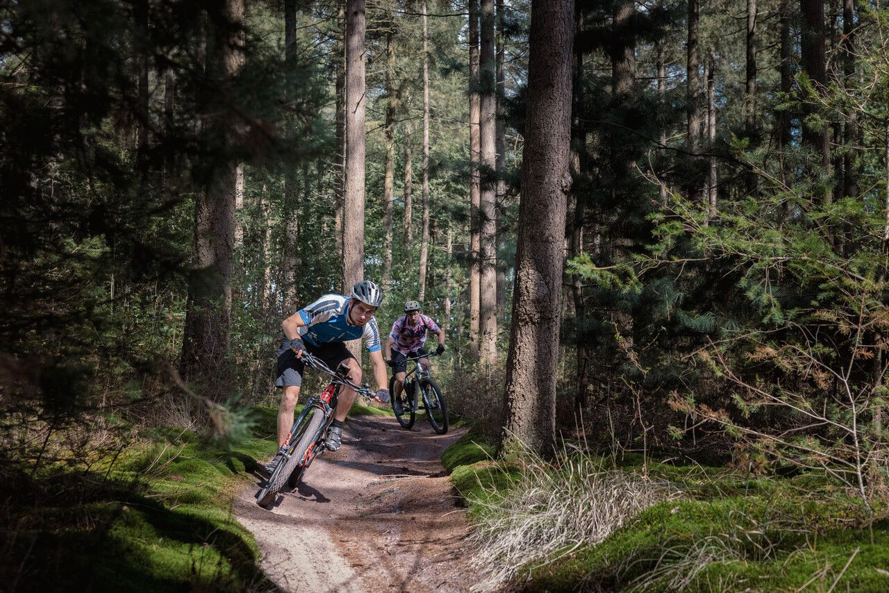 Foto van 2 Mountainbikers die tussen de bomen door fietsen.