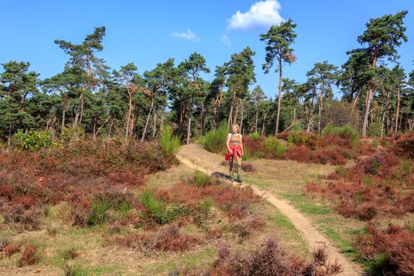 Mookerheide wandelen