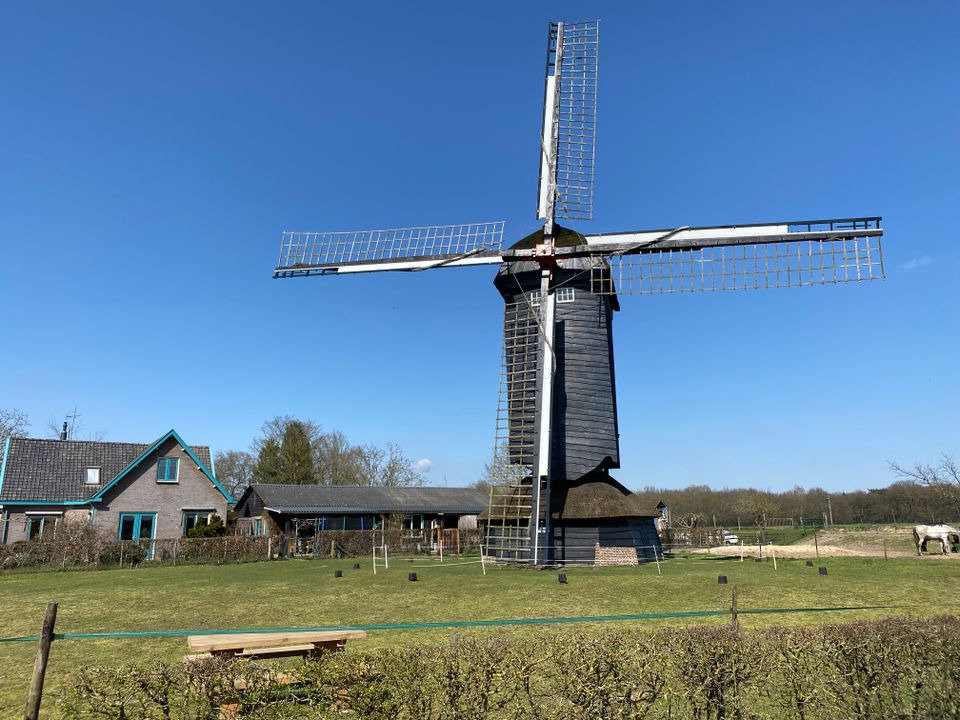 Doesburgermolen