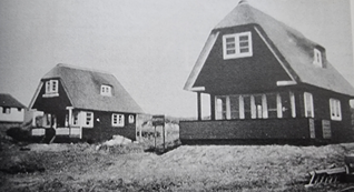 Zilvermeeuw Vlieland oud