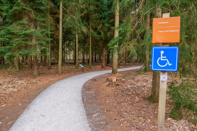 Ein Betonweg führt durch einen Wald in der niederländischen Provinz Drenthe.