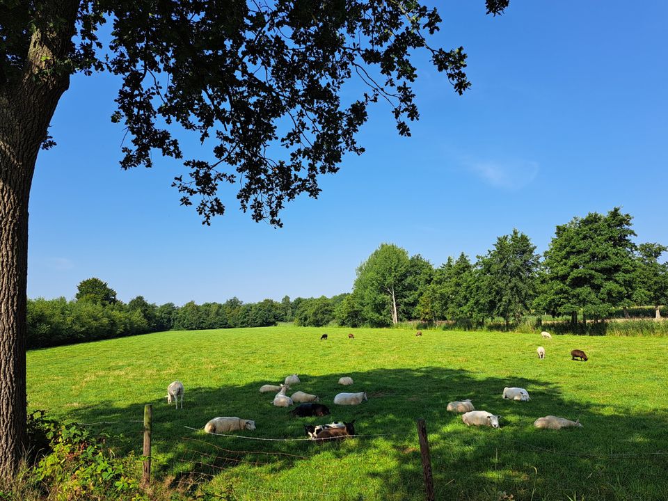Adellijke wandeling door Oentsjerk en Mûnein