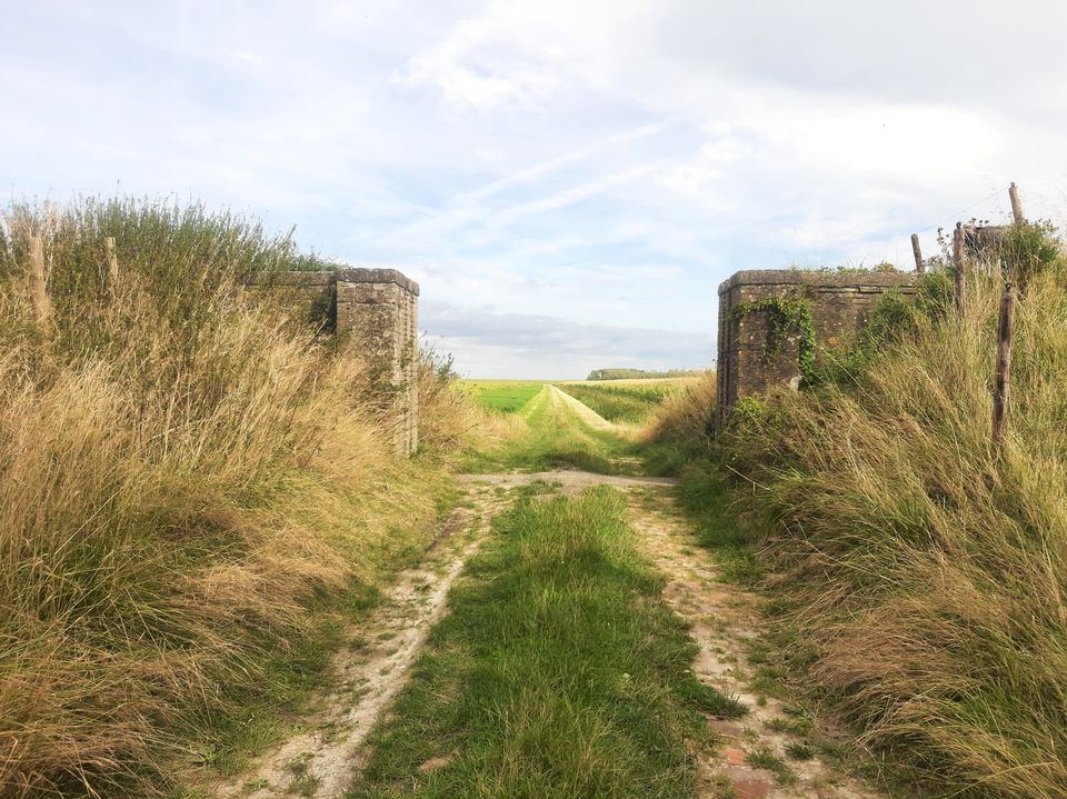 Genieten in Noordoost-Friesland