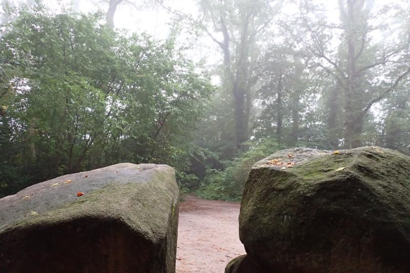 Hunebedbouwers onder de loep genomen – Archeologie van vroeger tot nu