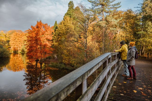 Stel wandelt in herfstbos over een brug