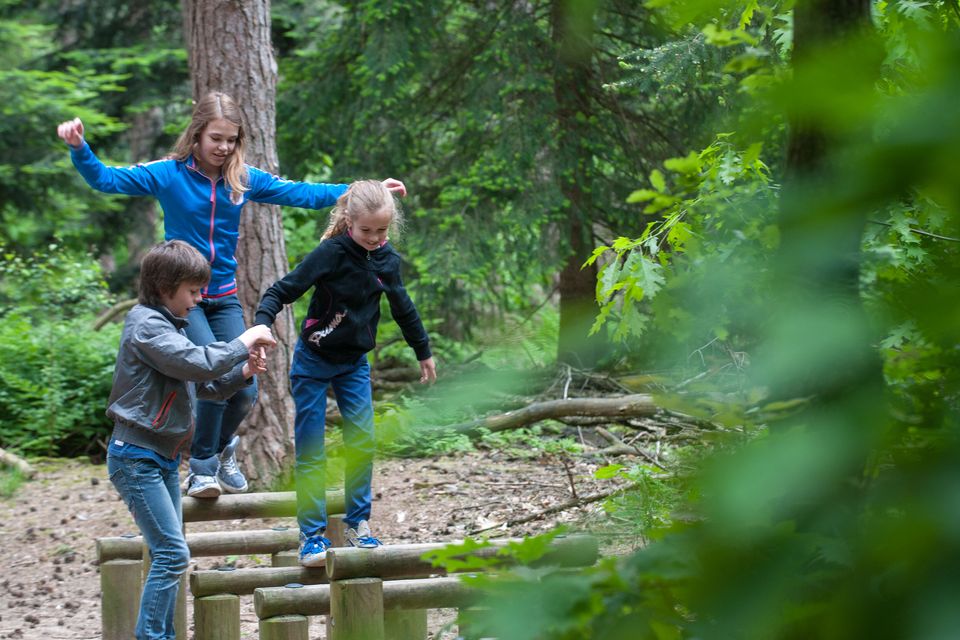 Kinderroute in het Zandbos Deurne