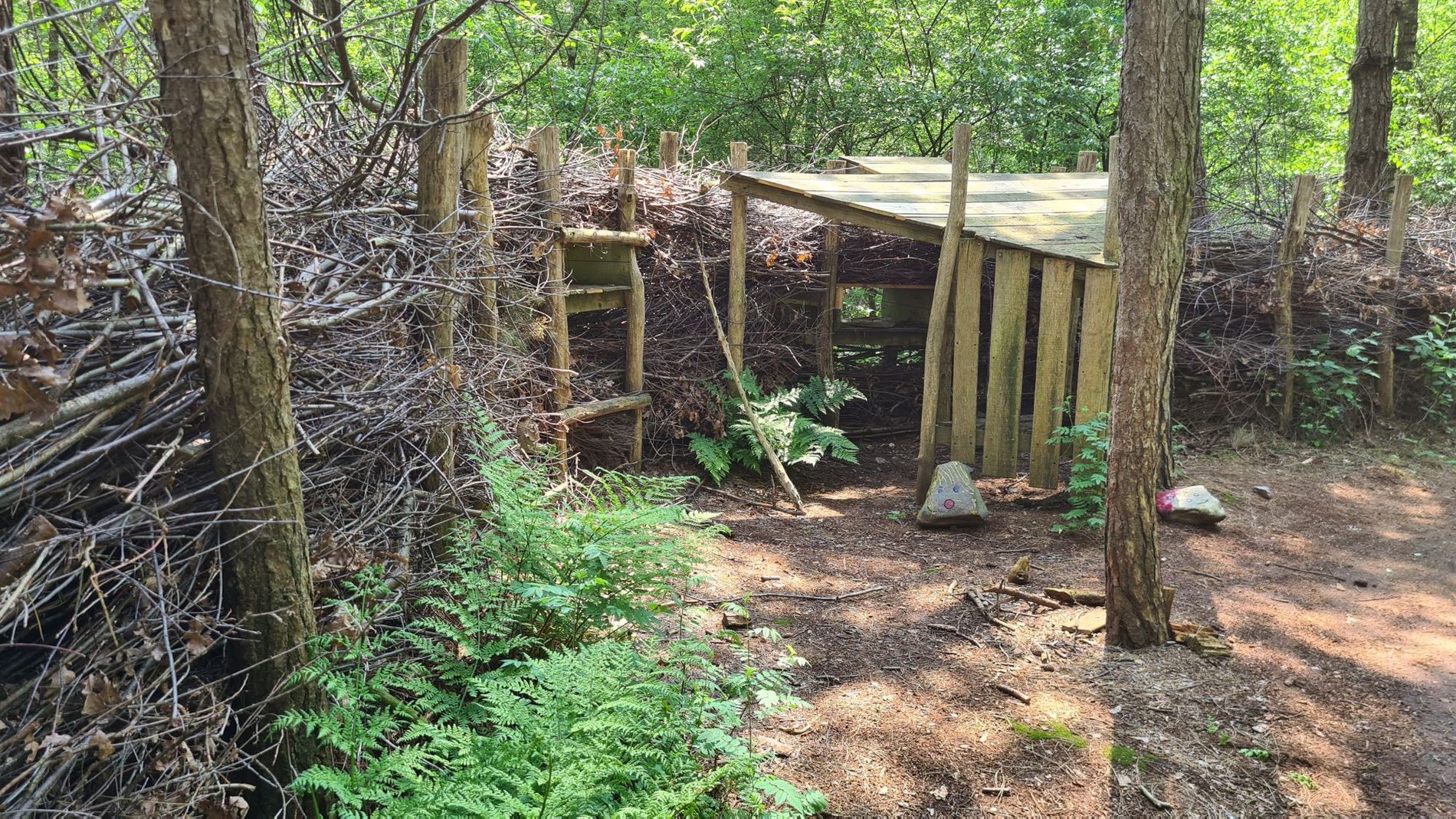 Schuilhut