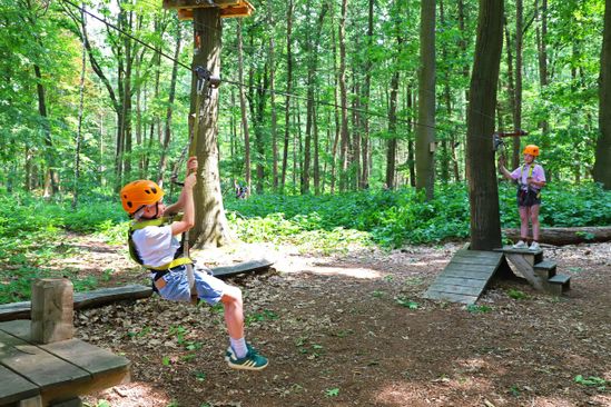 Rocks ’n Rivers Treetop Adventure Park | VisitBrabant