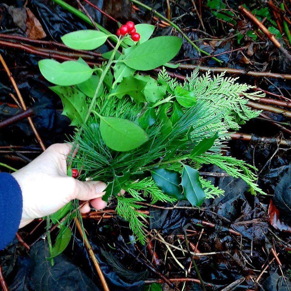 geplukte planten en kruiden