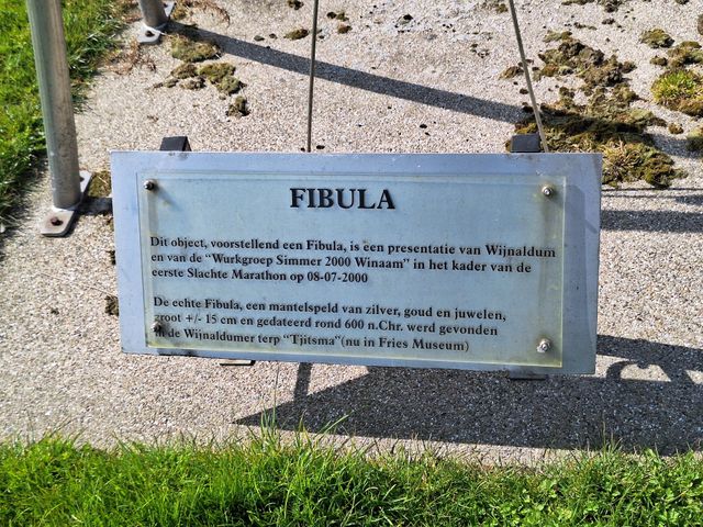 Fibula Wijnaldum