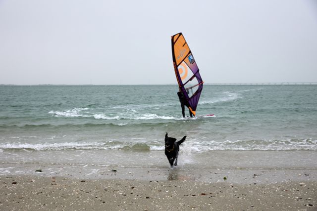 Windsurfen bij strandje Ouwerkerk