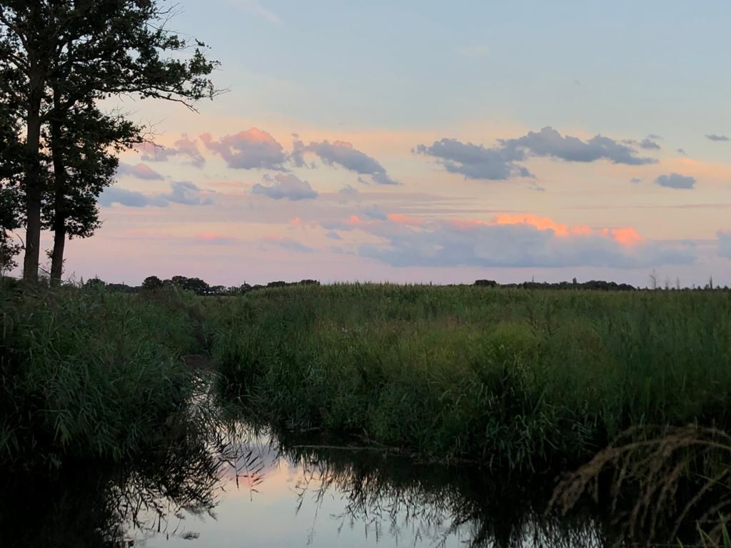 Natuurgebied De Berken Liessel