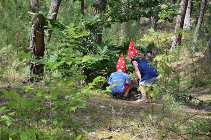 Kabouterbos Vlieland