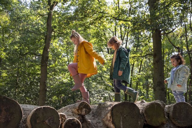 Kinder balancieren auf Baumstämmen in einem Wald in Drenthe.