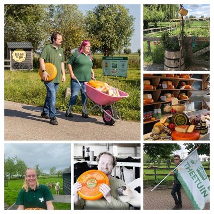 Kaas- en Zorgboerderij Doruvael in Montfoort met melkkoeien, kaasproducten en theetuin in het Groene Hart.