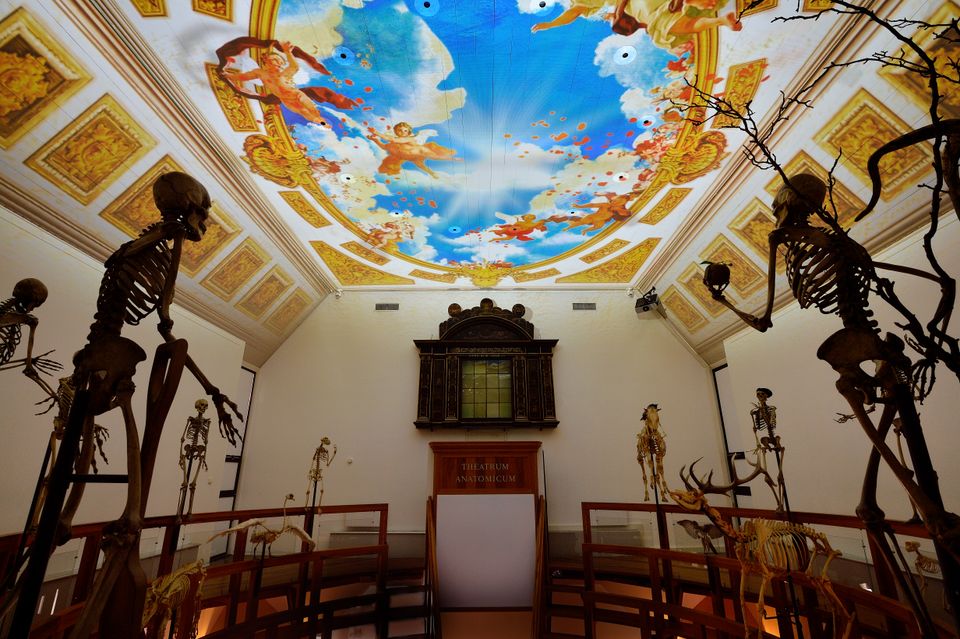 Rijksmuseum Boerhaave