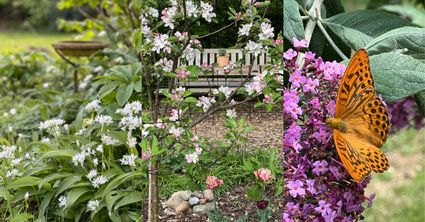 Heerlijk Hemelum Open Tuinendagen