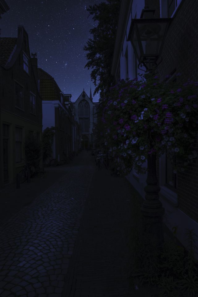Donkere steeg tijdens Seeing Stars Leiden.
