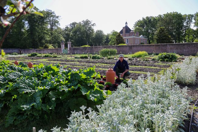 Een man zit gehurkt in een moestuin, met op de achtergrond een kasteel.