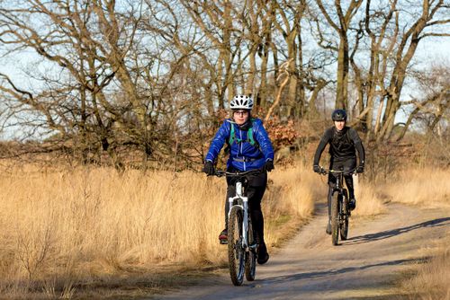 mountainbikers rijdend in het bos