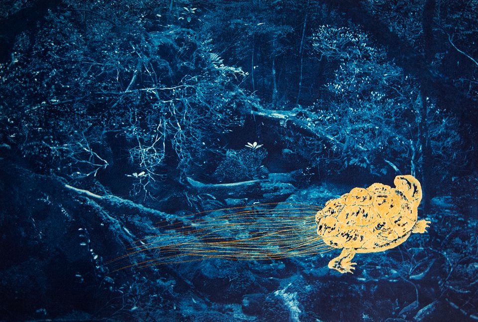Afbeelding van ansichkaart Japanmuseum