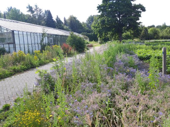 Kom gratis struinen door de tuinen van de voormalige Tuinbouwschooltuin in Frederiksoord. Kunst, cultuur.