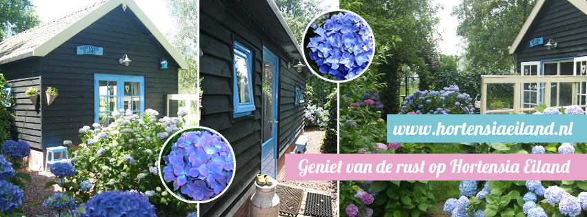 B&B Hortensia Eiland in Zegveld, Groene Hart, sfeervolle bed and breakfast omringd door bloeiende hortensia’s, rustige overnachtingslocatie midden in het groen voor een ontspannen verblijf, natuurbeleving en gastvrij overnachten.