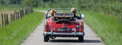 Rode cabrio rijdend door het Groene Hart