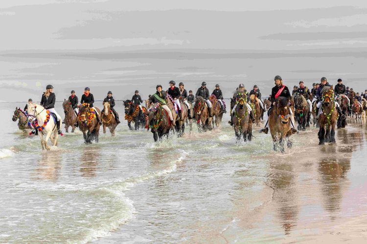 Op-Schouwen-Duiveland-Strao-Rieen-Renesse