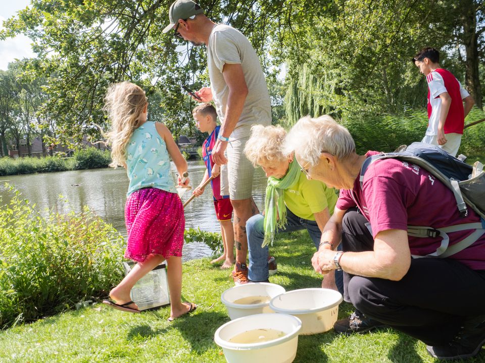 Mensen zoeken waterbeestjes in het water