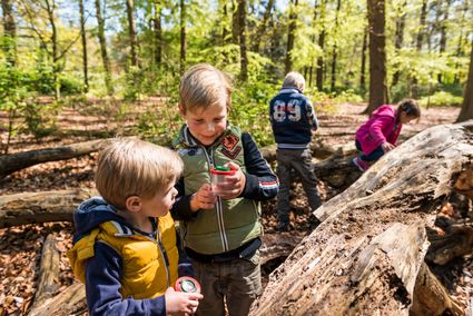 Kinderen speuren in het bos naar kleine beestjes in de Herfst