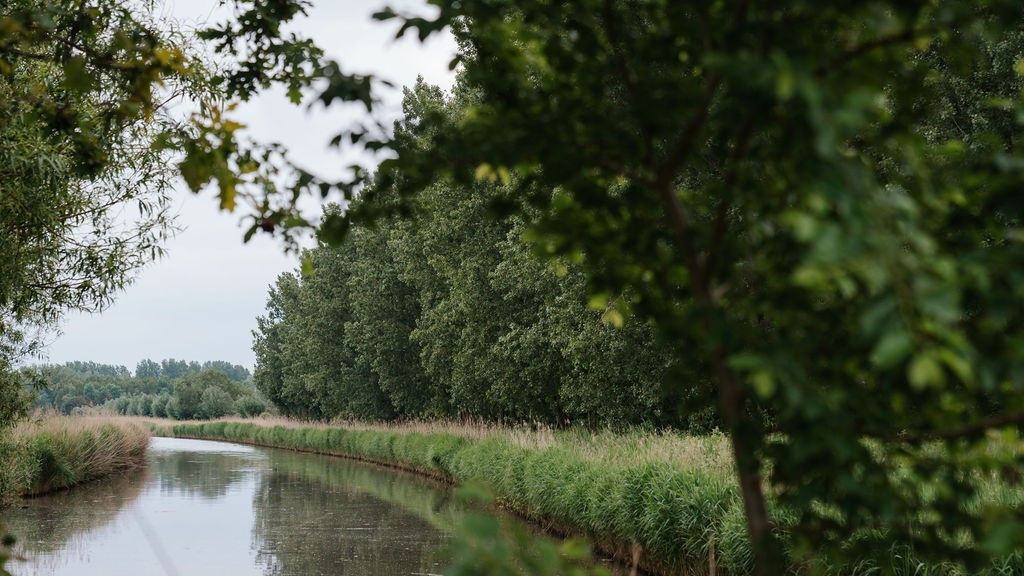 Water en groen bij natuurgebied de vliegers