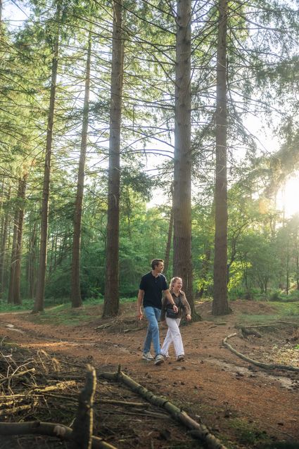 Man en vrouw lopen over bospad met ondergaande zon