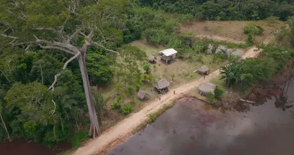 Shot van natuur uit Eat more trees