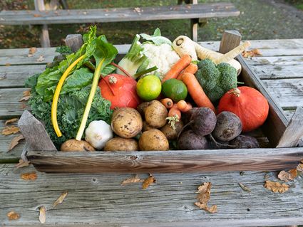 Healthy Planet Inspiratiedag